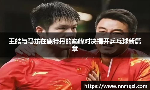 王皓与马龙在鹿特丹的巅峰对决揭开乒乓球新篇章