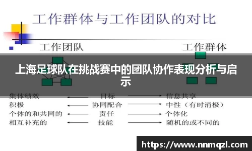 上海足球队在挑战赛中的团队协作表现分析与启示